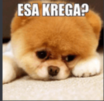 esa krega