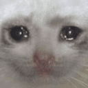 sob
