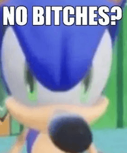 no bitches?