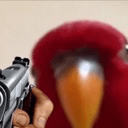 red birb with gun