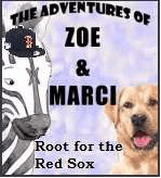 Marci Redsoxs stink