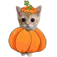 pumpkat