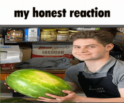 honestreaction