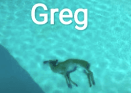 greg