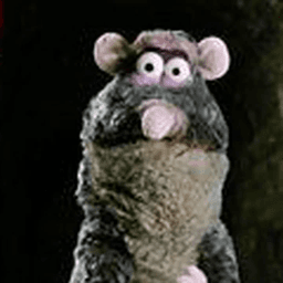 rat