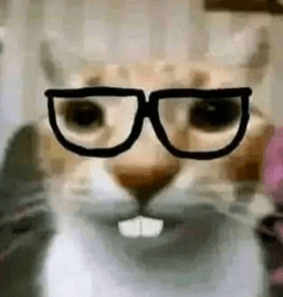 nerdcat