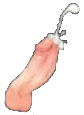 cumming 