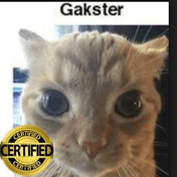certified gakster moment