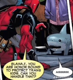 blahaj protect