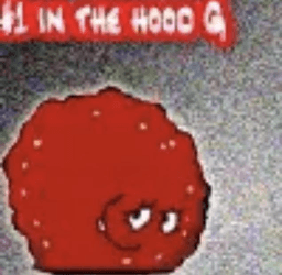 #1 In The Hood G