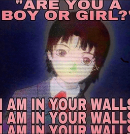 I AM IN YOUR WALLS