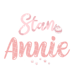 stan annie DNS