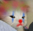 Clown Cat