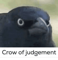 crow of judgement