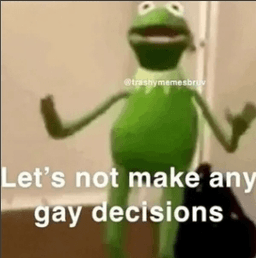 gay decisons