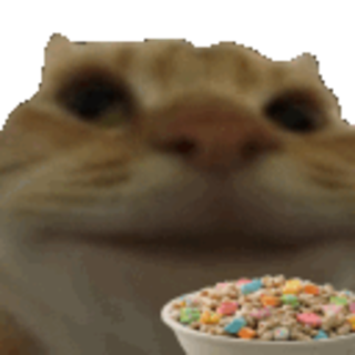 EatCereal