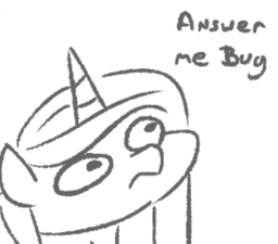 Answer Bug