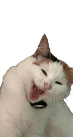 Kiwi Scream 