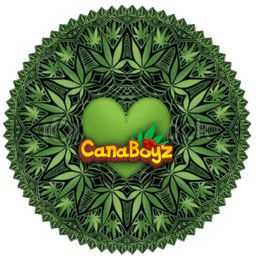 Love Canaboyz