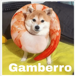 Gamberro