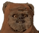 Ewok