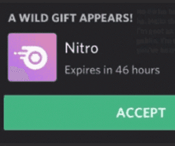 Free Nitro.EXE