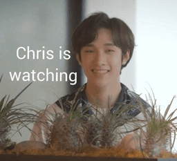 chris is watching