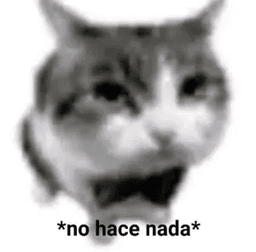 No hace nada