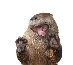 Otter