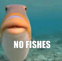 no fishes