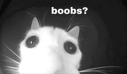 Boobies?