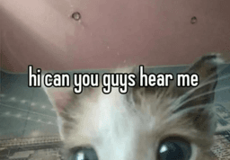 can you hear me