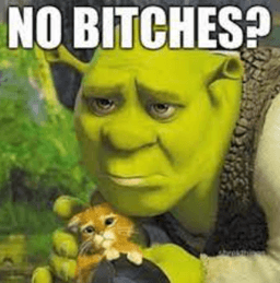 no_bitches?