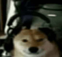 GamerDoge