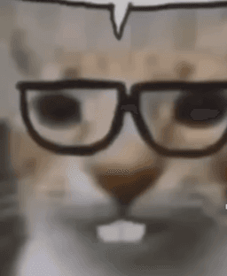 Nerd Cat