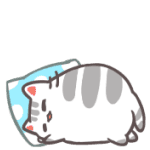 Cat sleep