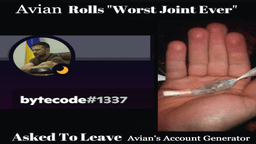 avian rolls