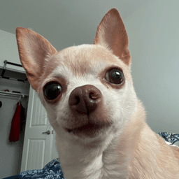 shocked