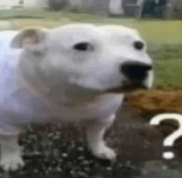 que