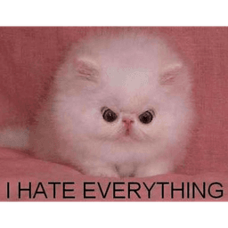 i hate everything (.gg/kitten)