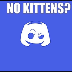 no kittens? (.gg/kitten)