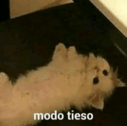 Tieso