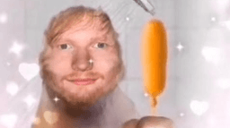 ed sheeran corn dog