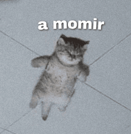 Amimir