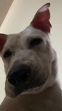 .gg/Dior you stay lying