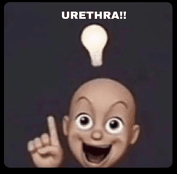 .gg/emojicloud (URETHRA)