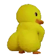 duck | .gg/wife