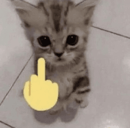 cat middle finger | .gg/wife