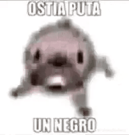 ostia puta un negro