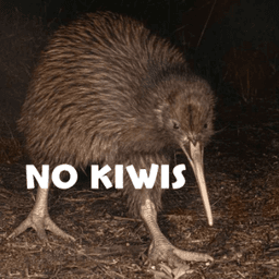 no kiwis